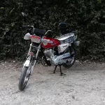 پامیر  150cc